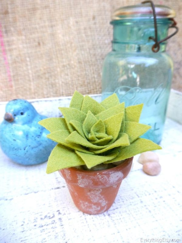 DIY-Succulent-by-Kim-Layton-1