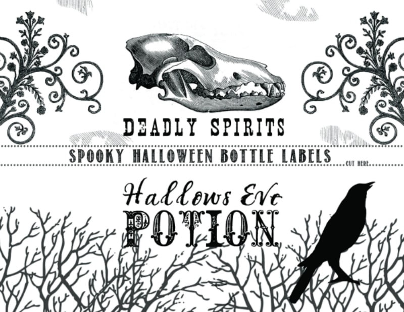 Printable Halloween bottle labels