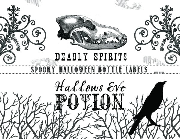 halloween bottle wrappers | TodaysCreativeLife.com