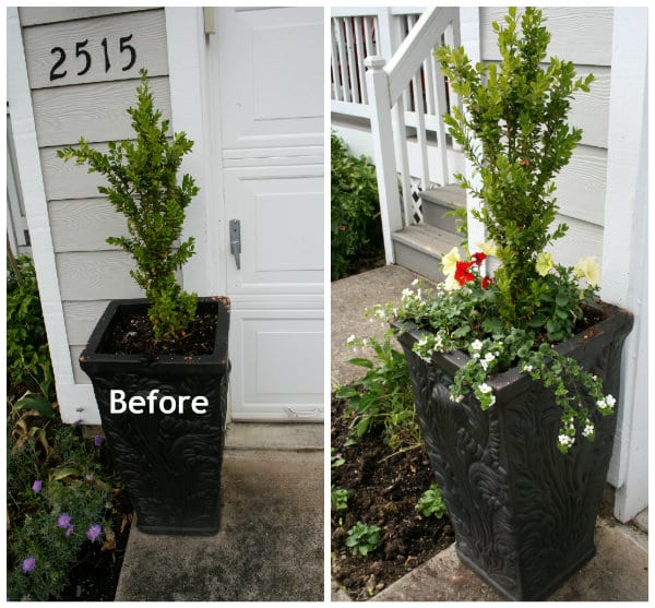 planting flower pots curb appeal