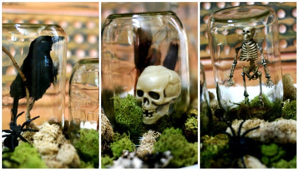 Halloween Spirit Mason Jar Halloween Terrarium | Decorating for Halloween just got easier! Grab a few jars, some inexpensive decorations, some moss and you're ready! See more on TodaysCreativeLife.com