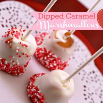 Marshmallows on a Stick