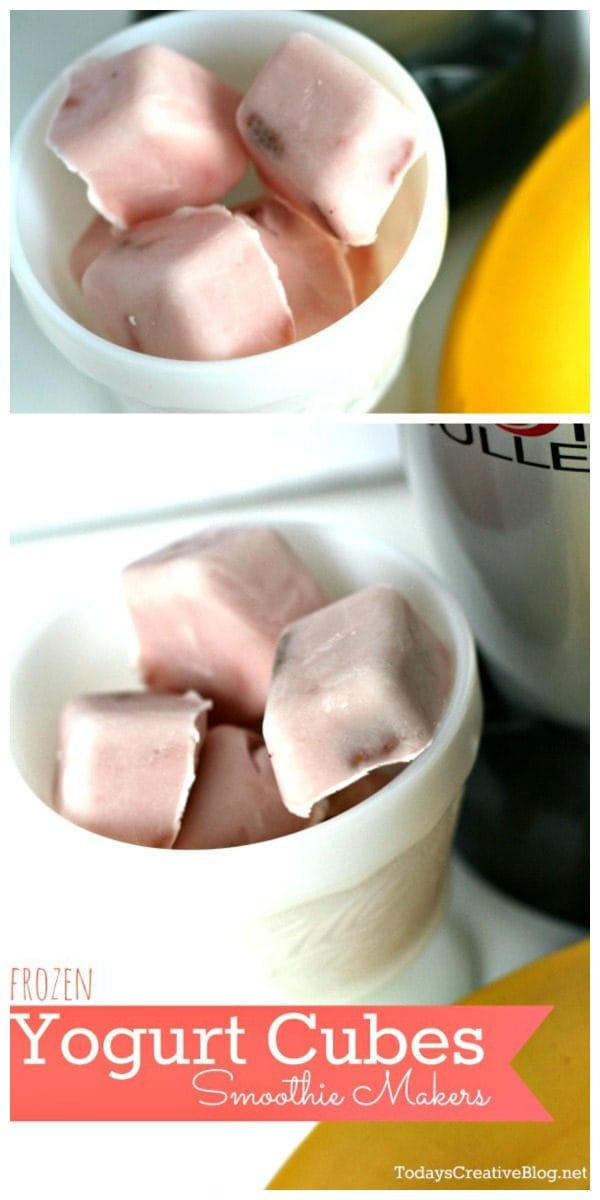 Frozen Yogurt Cubes- Freezing Yogurt for Smoothies - Todays Creative Blog