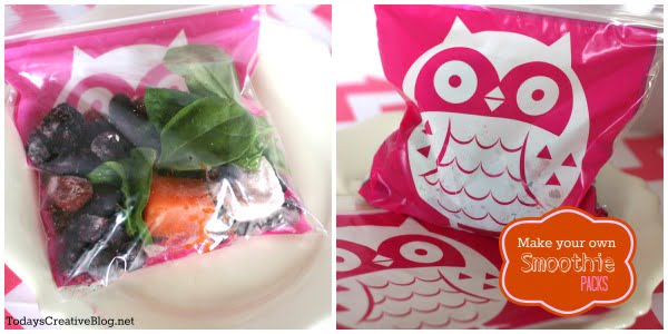 frozen smoothie packs- today's creative blog