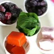 Frozen Smoothie Packs