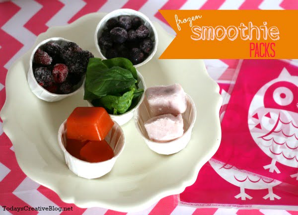 Frozen Yogurt Cubes- Freezing Yogurt for Smoothies - Todays Creative Blog