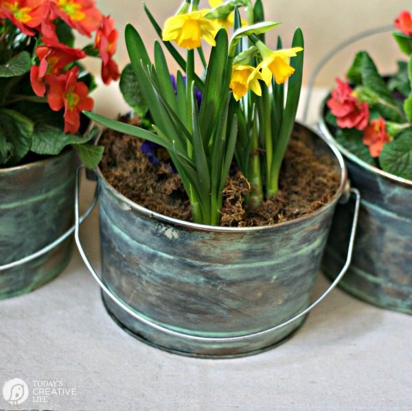 Painted metal buckets to look like diy faux patina aged containers. 