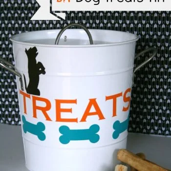 Dog Treat Tin DIY | TodaysCreativeBlog.net