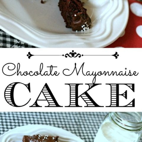 Chocolate Mayonnaise Cake Recipe | TodaysCreativeBlog.net