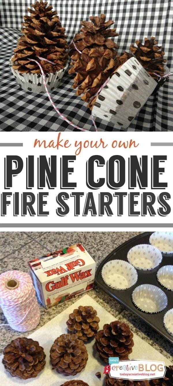 Pine Cone Fire Starters Diy Today S Creative Life