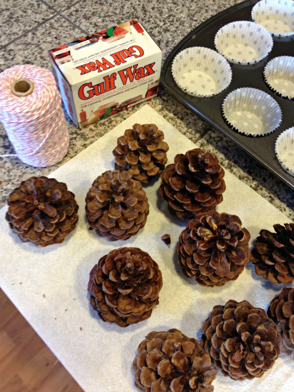 Pine Cone Fire Starter Supplies: Pine cones, paraffin wax, string, muffin pan with liners. 