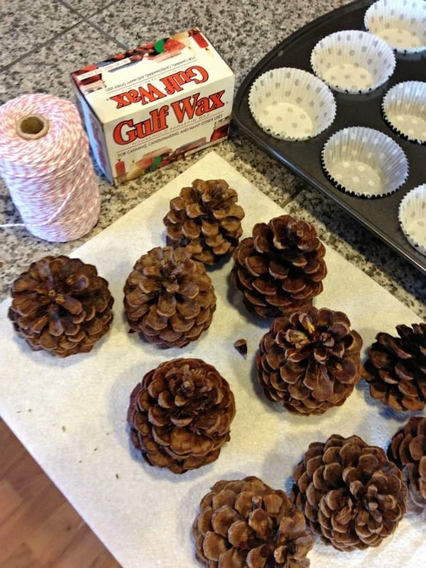 Pine Cone Fire Starter Supplies Pine Cone Fire Starter Supplies: Pine cones, paraffin wax, string, muffin pan with liners.
