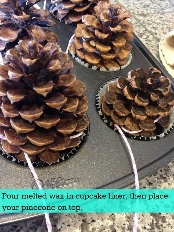 Pine Cone Fire Starters in a muffin tin