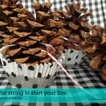 Pine Cone Fire Starters using wax, string and pine cones