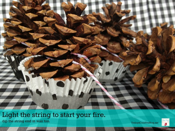 Pine Cone Fire Starters in cupcake liners. 