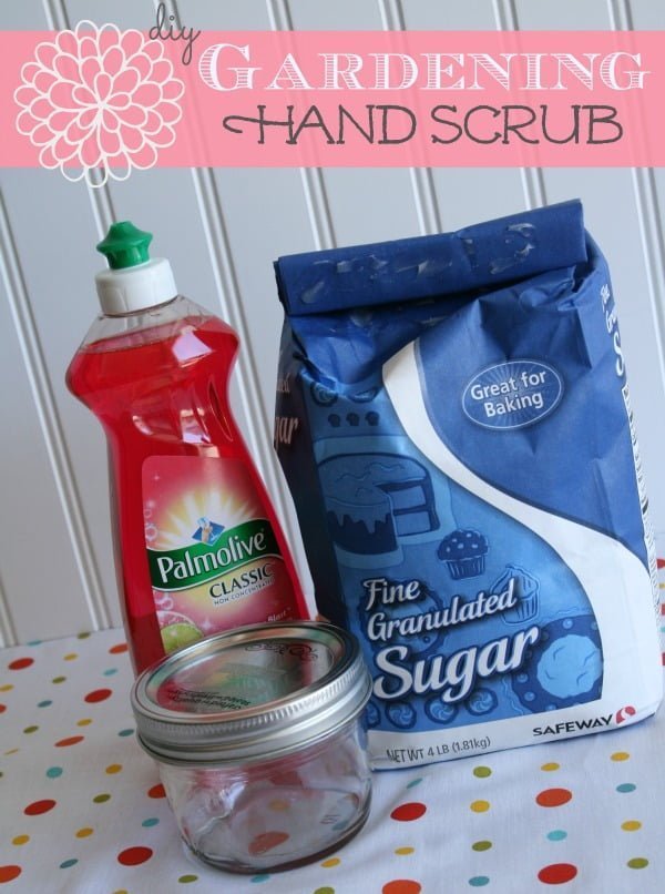 DIY Gardening Hand Scrub Today's Creative Life