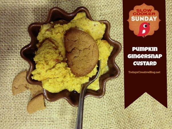 Crock Pot Pumpkin Custard