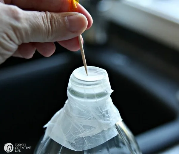 How To Get Rid Of Fruit Flies | Easy DIY Apple Cider Vinegar Non-Toxic Fruit Fly Trap. Easy Kitchen Hack | Eliminate gnats | See how by clicking on the photo. TodaysCreativeLife.com