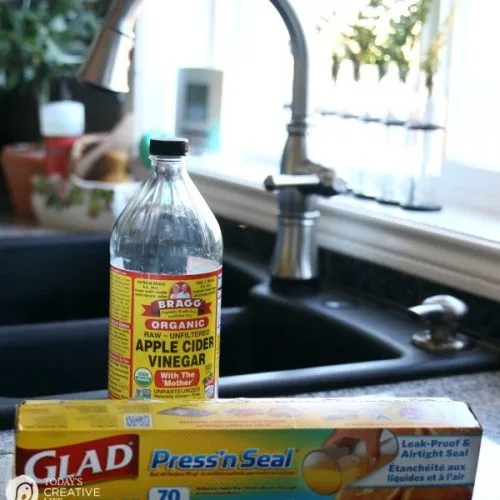 How To Get Rid Of Fruit Flies | Easy DIY Apple Cider Vinegar Non-Toxic Fruit Fly Trap. Easy Kitchen Hack | See how by clicking on the photo. TodaysCreativeLife.com