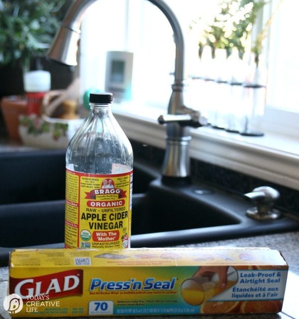 How to Get Rid of Gnats with Vinegar - Creative Homemaking