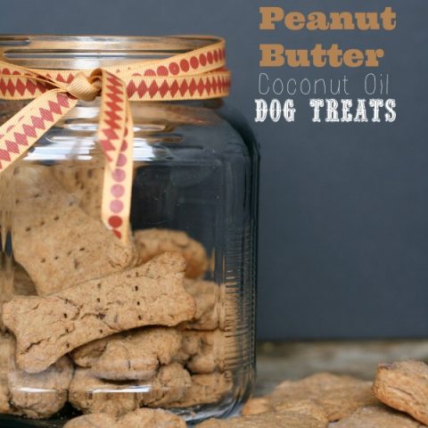 Easy Healthy Homemade Peanut Butter Coconut Oil Dog Treats - Cook