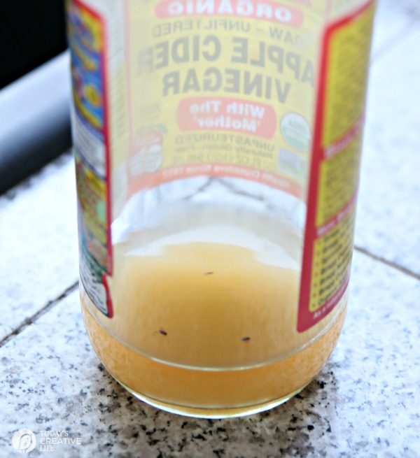 How To Get Rid Of Fruit Flies | Easy DIY Apple Cider Vinegar Non-Toxic Fruit Fly Trap. Easy Kitchen Hack | Eliminate gnats | See how by clicking on the photo. TodaysCreativeLife.com