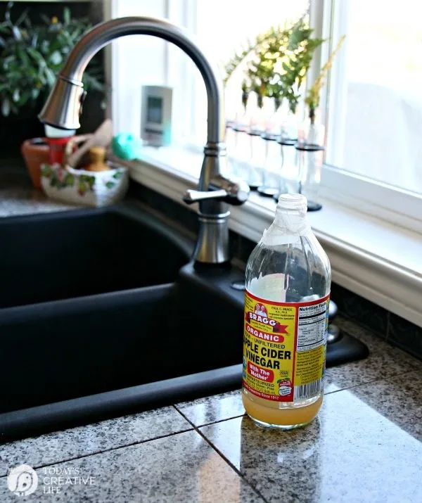 Homemade Fruit Fly Trap by TodaysCreativeLife.com