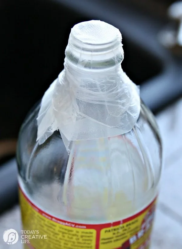 How To Get Rid Of Fruit Flies | Easy DIY Apple Cider Vinegar Non-Toxic Fruit Fly Trap. Easy Kitchen Hack | Eliminate knats | See how by clicking on the photo. TodaysCreativeLife.com