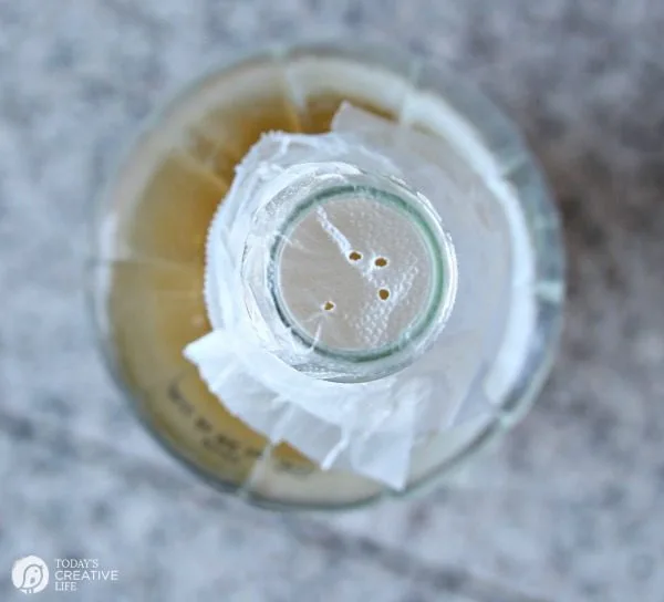 How To Get Rid Of Fruit Flies | Easy DIY Apple Cider Vinegar Non-Toxic Fruit Fly Trap. Easy Kitchen Hack | Eliminate gnats | See how by clicking on the photo. TodaysCreativeLife.com