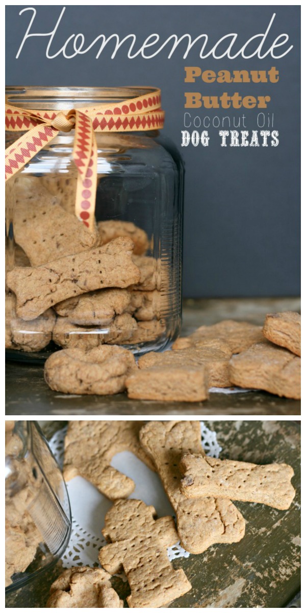 These dog treats are made with peanut butter and coconut oil, your dog will love these! Click the photo for the recipe on TodaysCreativeLife.com  - titled photo collage (and shown): homemade peanut butter dog treats