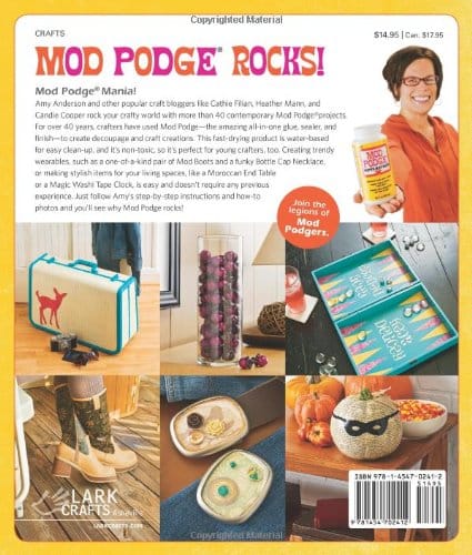 Top 10 Mod Podge Crafts of the Decade - Mod Podge Rocks