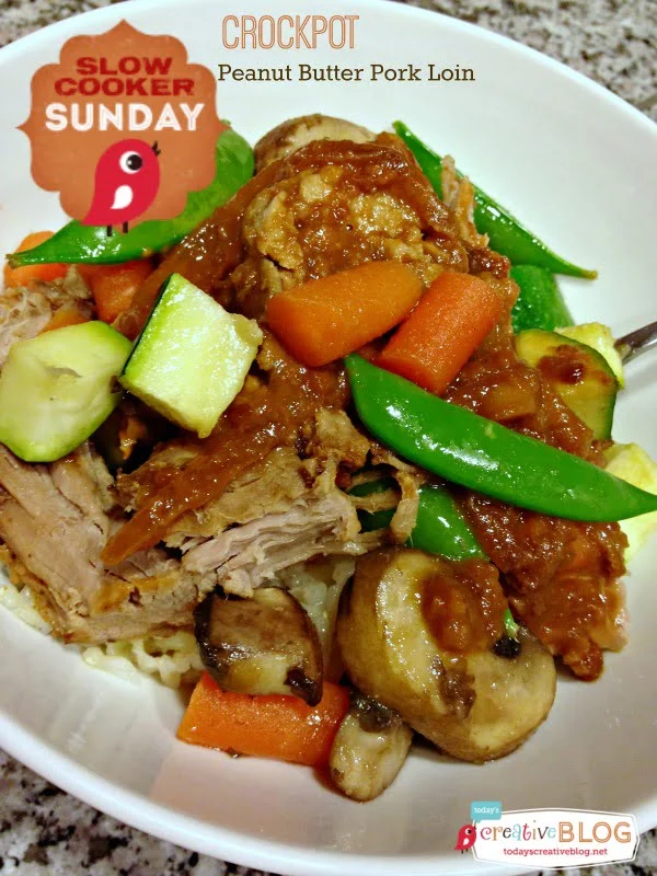 Crockpot Peanut Butter Pork Loin | TodaysCreativeBlog.net