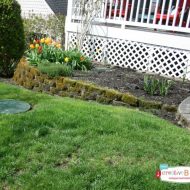 Prepping Your Yard for Spring