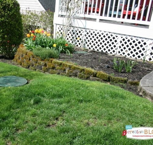 Prepping Your Yard for Spring | todayscreativeblog.net