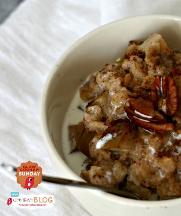 Crock Pot Cinnamon Apple Oatmeal Today's Creative Life