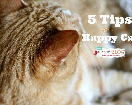 Happy Cat Tips| TodaysCreativeBlog.net