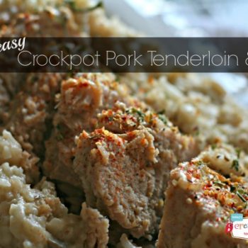 Crockpot Pork Tenderloin and rice | TodaysCreativeBlog.net