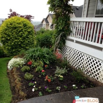 Spring Yard Before and After | It's time to get the yard ready. With the right products and care, you can have fast improvement in one month! See more on TodaysCreativelife.com