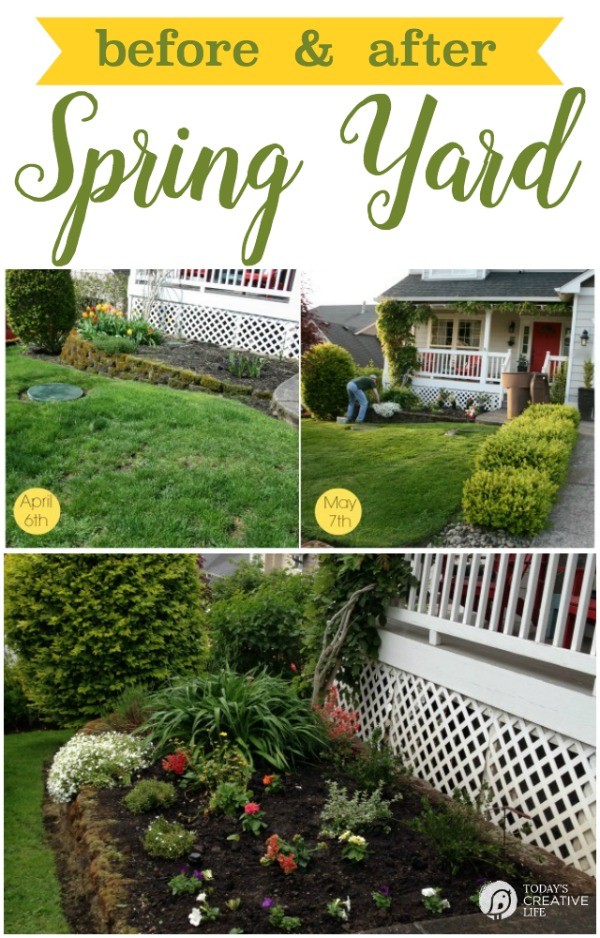 Spring Yard Before and After | It's time to get the yard ready. With the right products and care, you can have fast improvement in one month! See more on TodaysCreativelife.com