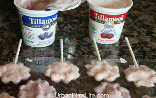 Summertime Food Fun: Easy Homemade Yogurt Pops by UrbanBlissLife.com | TodaysCreativeBlog.net