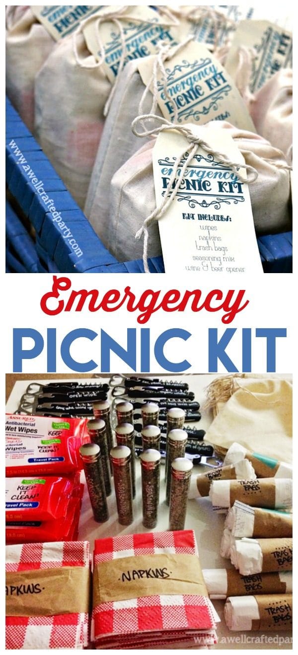 Sewing Emergency Kit Basic Great for Picnics, Sports, Travel Anytime  Emergency