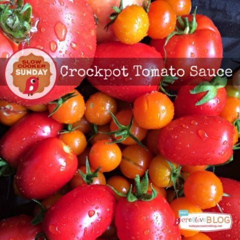 Crockpot Tomato Sauce | Slow Cooker Sundays | TodaysCreativeBlog.net