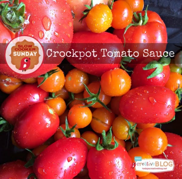 Crockpot Tomato Sauce | Slow Cooker Sundays | TodaysCreativeBlog.net