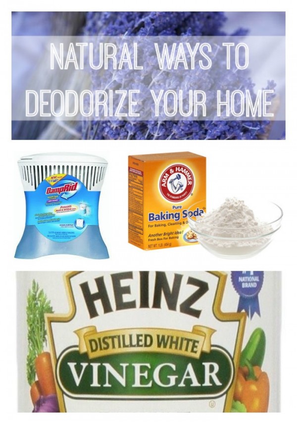 Natural Ways to Deodorize Your Home