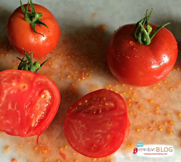 Crockpot Tomato Sauce | Two whole tomatoes and one halved tomato