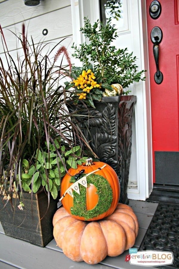 Trick Your Pumpkin | Decorated Pumpkin with Moss | TodaysCreativeLife.com