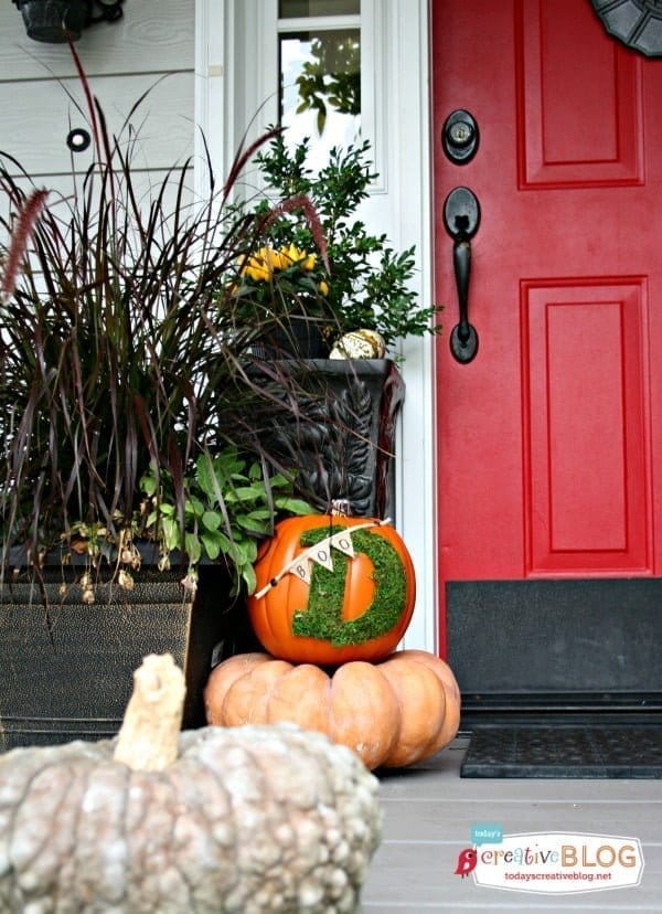 Trick Your Pumpkin | TodaysCreativeBlog.net