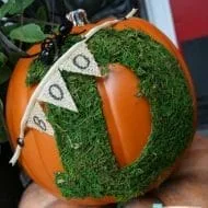 Trick Your Pumpkin No Carve Decorating