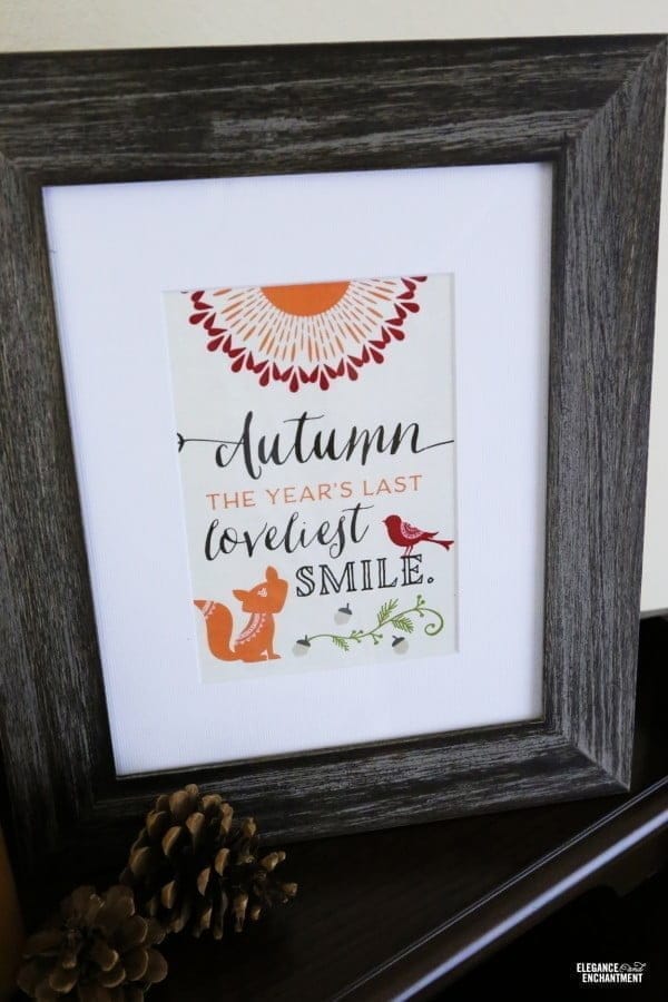 Woodland Party Printables and Wall Art | Free printables for easy fall decorating | TodaysCreativeLife.com