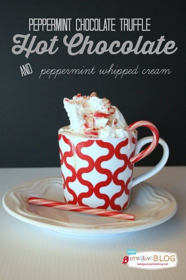 Homemade Peppermint Hot Chocolate | Use up your candy canes for your next batch of hot cocoa! Easy to make stove top or slow cooker. See the recipe at TodaysCreativeLife.com